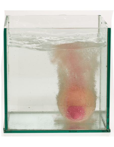 Bomba bagnodoccia a forma di seno - Bath Fizzer Boob